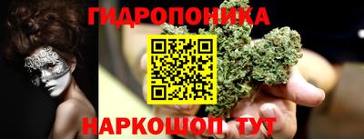 стафф Краснознаменск