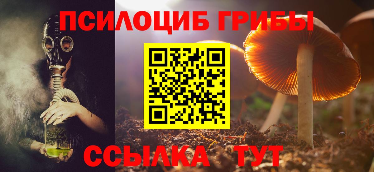 Среднеуральск  Псилоцибиновые грибы прущие грибы  Вход с VPN 