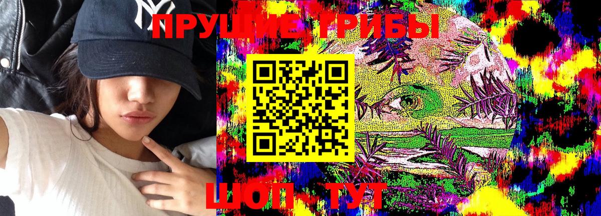Псилоцибиновые грибы Psilocybine cubensis Среднеуральск